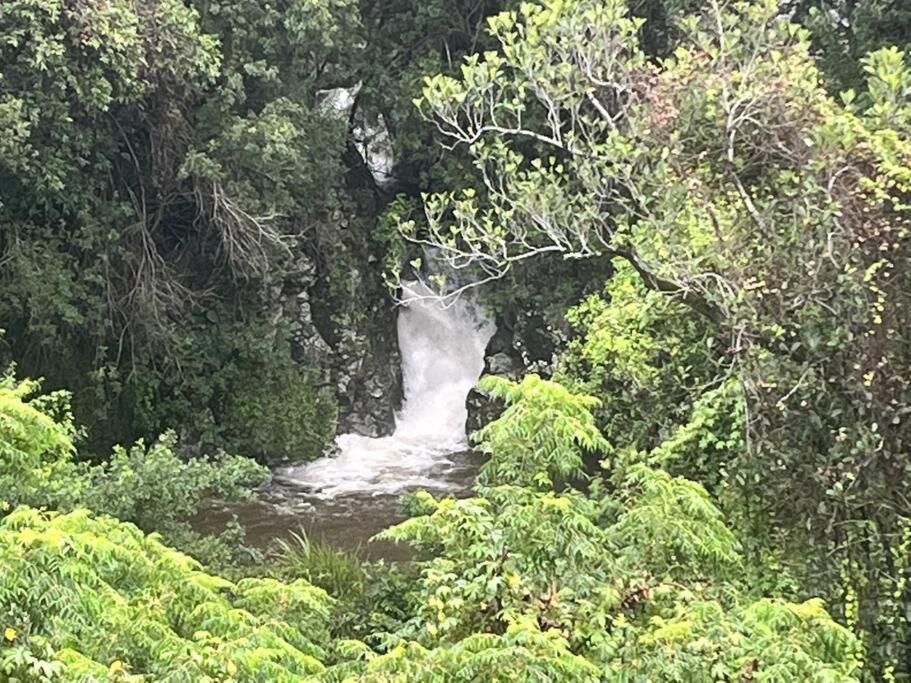 "La Ravine" Prive, Luxe, Avec Une Vue Unique Saint-Joseph Luaran gambar