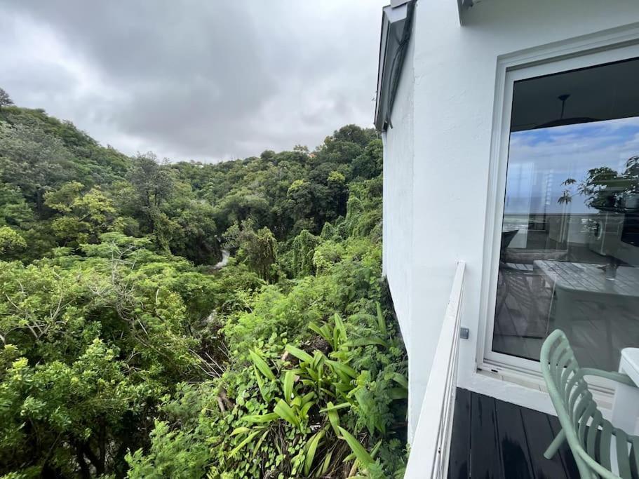 "La Ravine" Prive, Luxe, Avec Une Vue Unique Saint-Joseph Luaran gambar